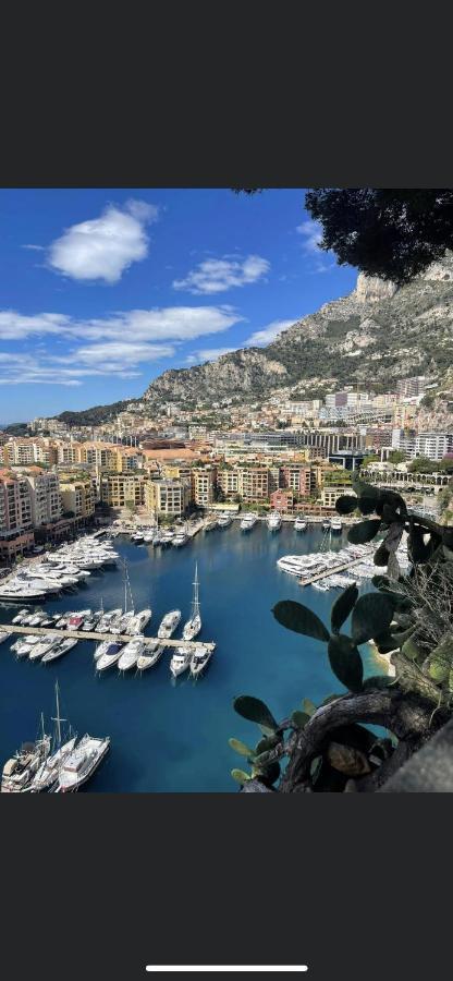 Superbe 2P Vue Mer, Ensoleille, Piscine Roquebrune-Cap-Martin Exterior photo